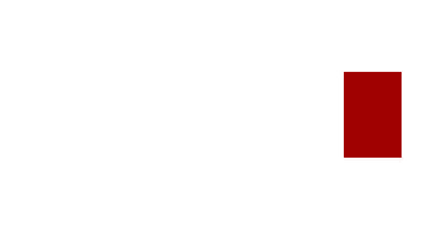 Swiss Realplan Logo